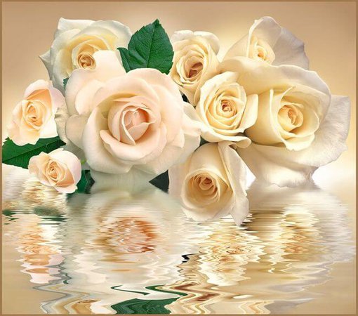 Фотообои А083 Белые розы 294х260 см
